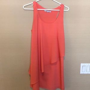 Naked Zebra Coral Dress